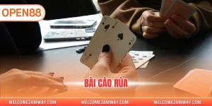 bài cào rùa