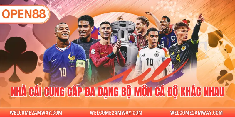 Nhà cái cung cấp đa dạng bộ môn cá độ khác nhau